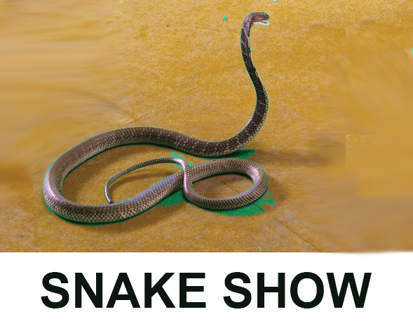 2023/08/18/sponsors_snake_show.jpg
